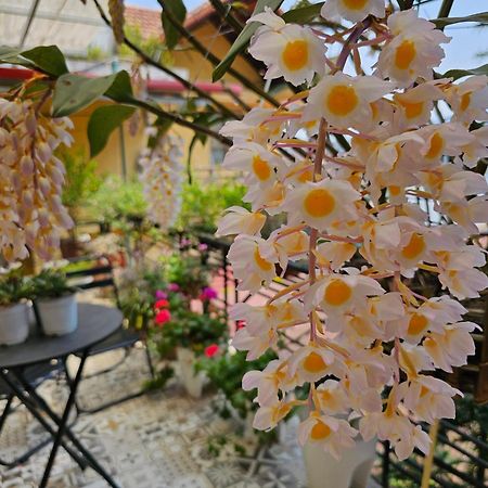 Dang Khoa Garden Inn Homestay Sa Pa Exterior foto