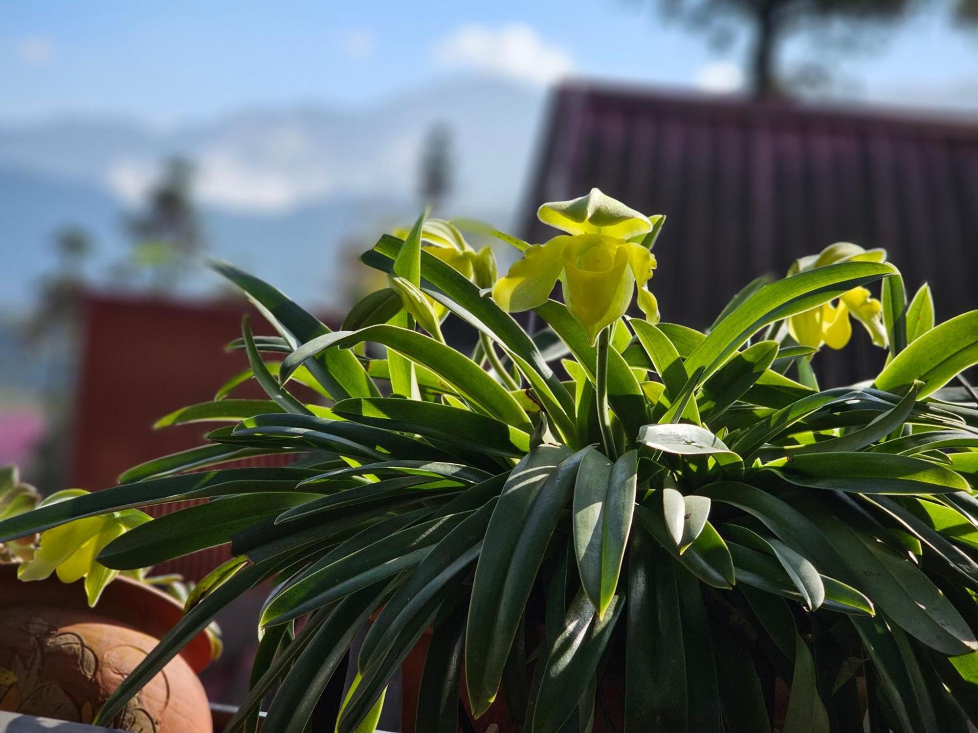 Dang Khoa Garden Inn Homestay Sa Pa Exterior foto