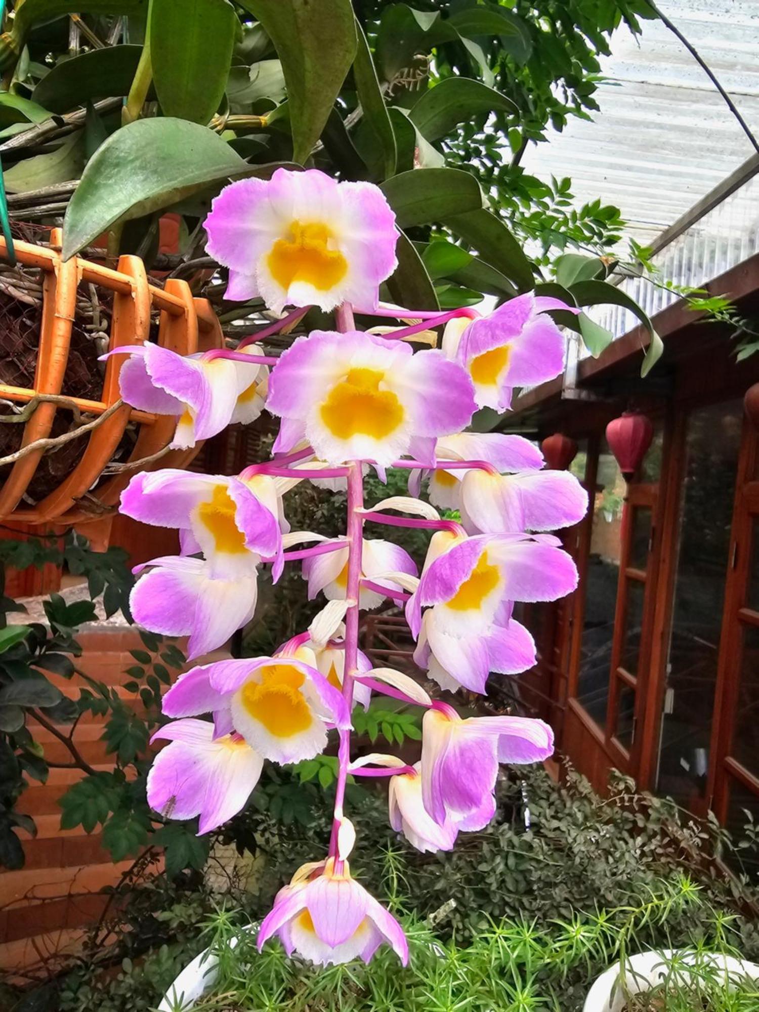 Dang Khoa Garden Inn Homestay Sa Pa Exterior foto