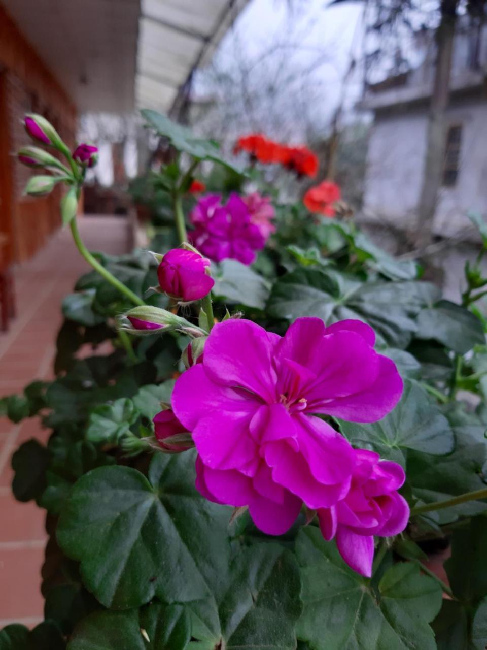 Dang Khoa Garden Inn Homestay Sa Pa Exterior foto